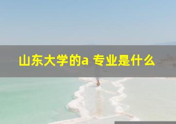 山东大学的a 专业是什么